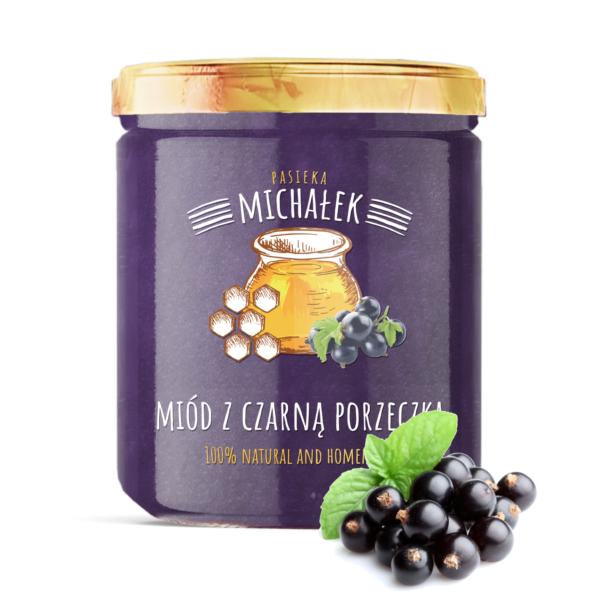 Miód z czarną porzeczką